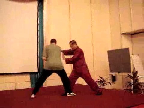 Wahnam Taijiquan