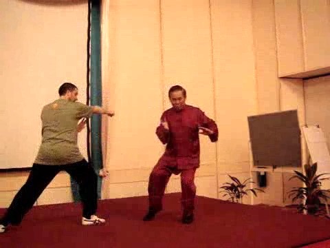 Wahnam Taijiquan