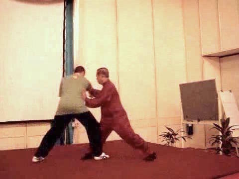 Wahnam Taijiquan Tai Chi Chuan