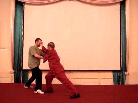 Wahnam Taijiquan