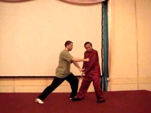 Wahnam Taijiquan