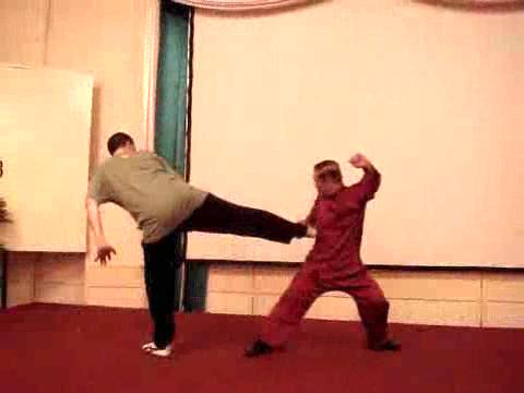 Wahnam Taijiquan