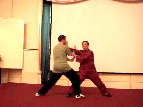 Wahnam Taijiquan Tai Chi Chuan