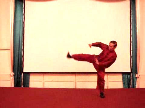 Wahnam Taijiquan