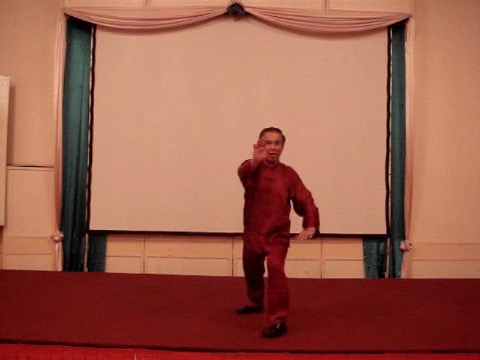 Wahnam Taijiquan, Tai Chi Chuan