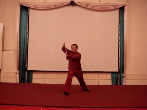 Wahnam Taijiquan