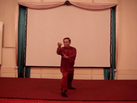 Wahnam Taijiquan