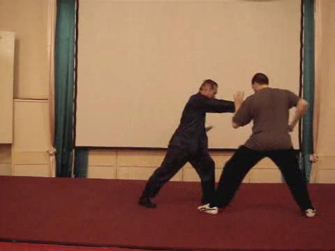 Wahnam Taijiquan