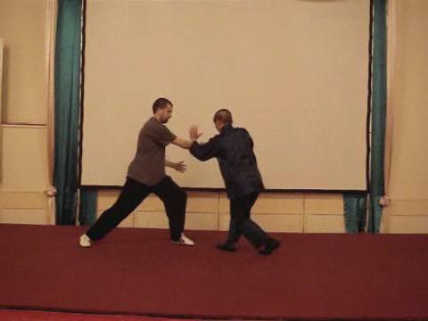 Wahnam Taijiquan