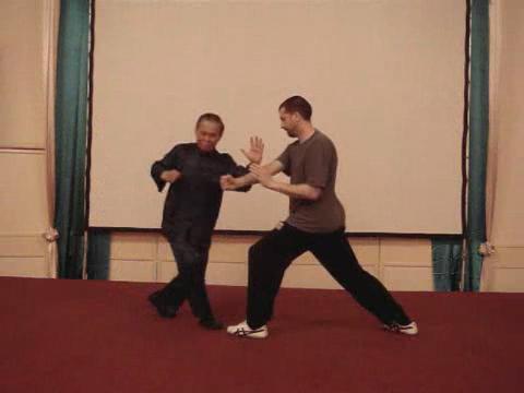 Wahnam Taijiquan