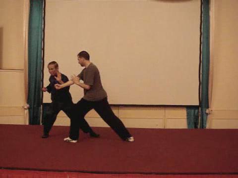 Wahnam Taijiquan