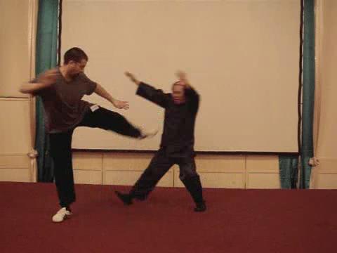 Wahnam Taijiquan, Tai Chi Chuan