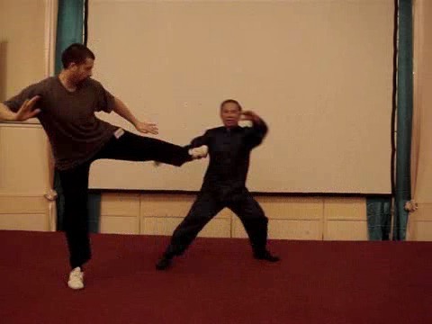 Wahnam Taijiquan