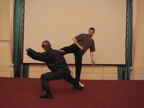 Wahnam Taijiquan