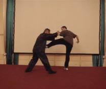 Wahnam Taijiquan