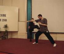 Wahnam Taijiquan