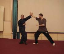 Wahnam Taijiquan