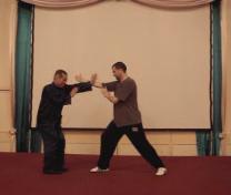 Wahnam Taijiquan