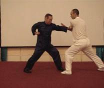 Wahnam Taijiquan Tai Chi Chuan