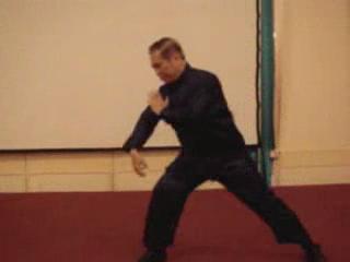 Wahnam Taijiquan