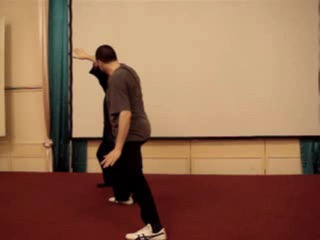 Wahnam Taijiquan