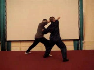 Wahnam Taijiquan