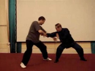 Wahnam Taijiquan, Tai Chi Chuan