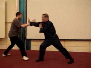 Wahnam Taijiquan