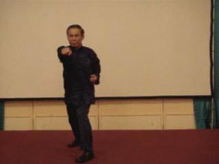 Wahnam Taijiquan