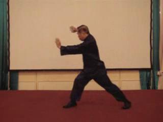 Wahnam Taijiquan