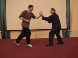 Wahnam Taijiquan