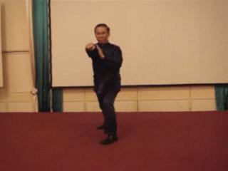 Wahnam Taijiquan