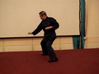 Wahnam Taijiquan