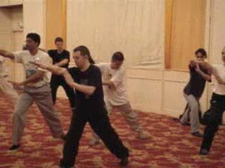 Wahnam Taijiquan