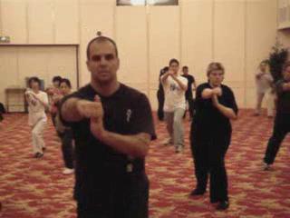 Wahnam Taijiquan Tai Chi Chuan