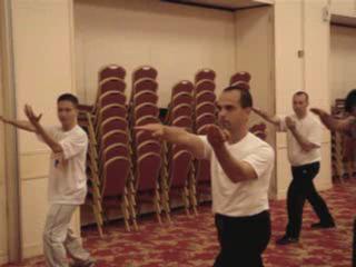 Wahnam Taijiquan