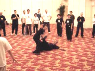 Taijiquan