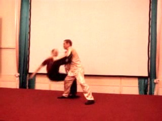 Wahnam Taijiquan