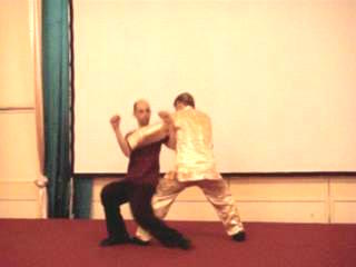 Wahnam Taijiquan