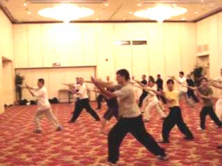 Wahnam Taijiquan