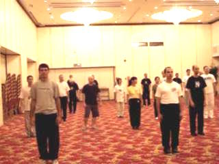 Wahnam Taijiquan