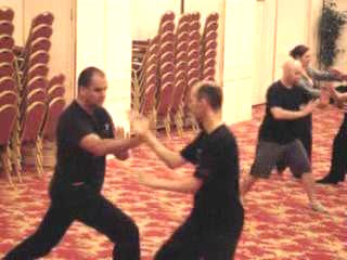 Wahnam Taijiquan