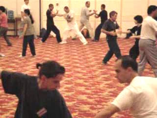 Wahnam Taijiquan Tai Chi Chuan