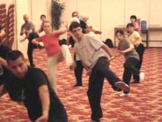 Wahnam Taijiquan Tai Chi Chuan