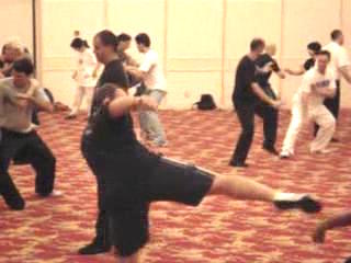 Wahnam Taijiquan