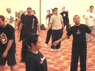 Wahnam Taijiquan