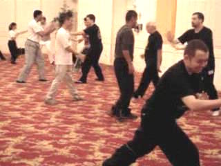 Wahnam Taijiquan