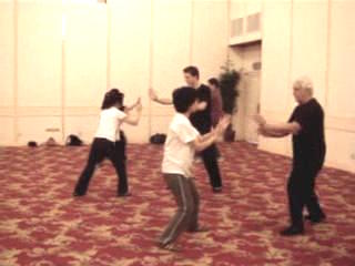 Wahnam Taijiquan