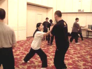 Wahnam Taijiquan