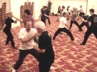 Wahnam Taijiquan Tai Chi Chuan